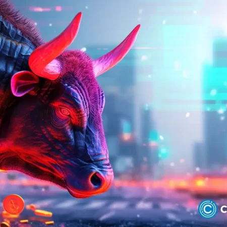 Top 3 Altcoins zum Kaufen und Halten