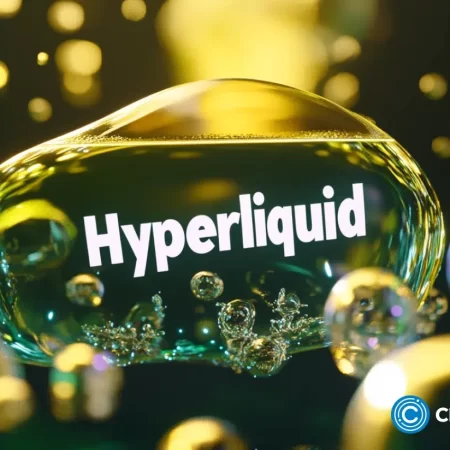 Hyperliquid -Kundgebungen über 20 US -Dollar, da neue Funktionen das Interesse steigern