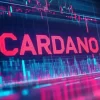 Kann Cardano Price den Sprung von Zuflüssen um 215 Millionen US -Dollar erholen?