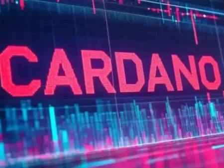 Kann Cardano Price den Sprung von Zuflüssen um 215 Millionen US -Dollar erholen?