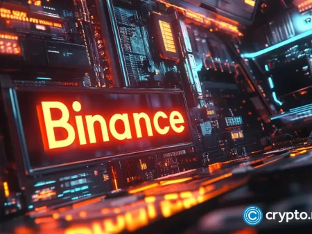 BNB -Preis, der für einen Anstieg als Transaktionen vorliegt, Stellvertretung ablegen