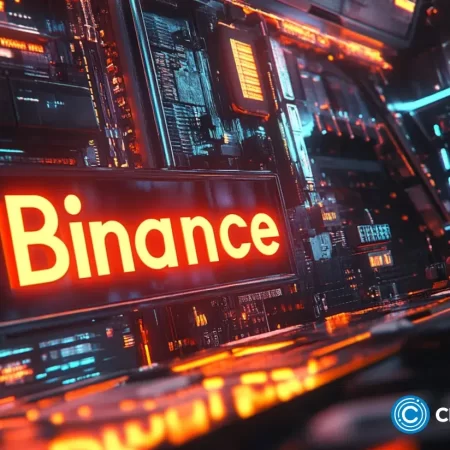 BNB -Preis, der für einen Anstieg als Transaktionen vorliegt, Stellvertretung ablegen