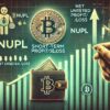 Kurzzeitinhaber von Bitcoin verkaufen sich noch nicht: NUPL schlägt das Aufwärtspotential vor