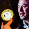 „Dogecoin ist nicht mehr nur eine Meme -Münze“