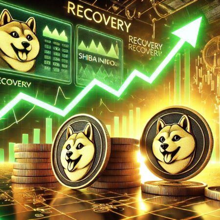 Shiba INU Große Transaktionsvolumes Crash an einem Tag 49%, gehen Wale?