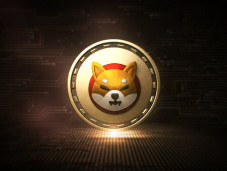 Hier ist, was das große Transaktionsvolumen von Shiba Inu über den Shib -Preis sagt