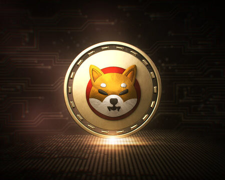 Hier ist, was das große Transaktionsvolumen von Shiba Inu über den Shib -Preis sagt