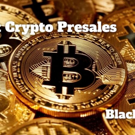 BEST PRESALES, um zu kaufen, da Mitchnick von Blackrock sagt, Bitcoin und Crypto sind zurück