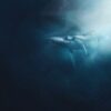 Bitcoin Whale Holdings springt auf 41.300 BTC, während die institutionelle Nachfrage erhitzt – Details
